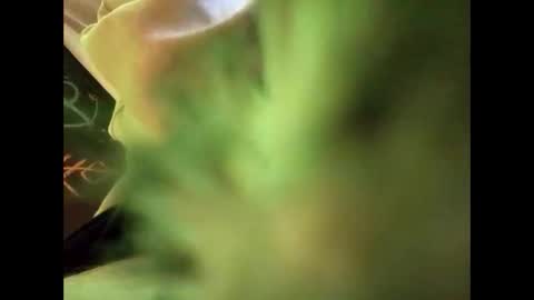 bigdickguy69690 online show from February 22, 2025, 1:11 am