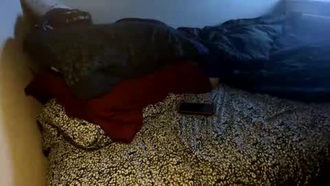 Snapshot of bigdickpapishampoo chatting on November 8, 2025, 7:52 am bigdickpapishampoo online show from November 8, 2025, 7:52 am