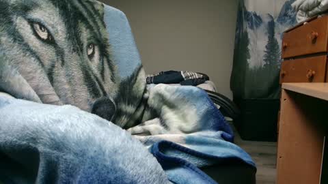 George Forest Dickyduby on all Socials online show from December 9, 2024, 5:40 am