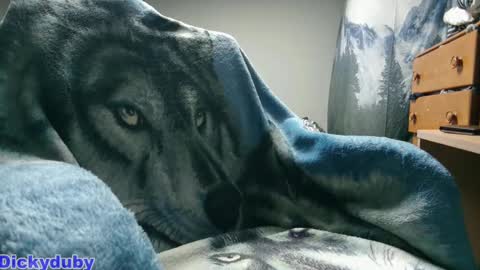 George Forest Dickyduby on all Socials online show from September 11, 2025, 1:28 am