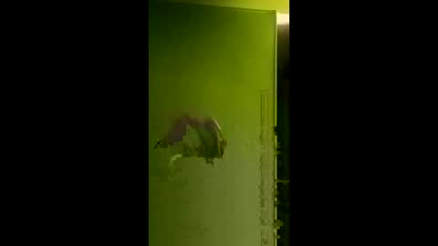 bigdog9thick online show from April 6, 2026, 8:04 am