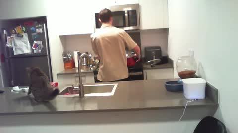 Snapshot of bigdog_112 chatting on October 1, 2025, 9:54 pm BigWilly online show from October 1, 2025, 9:54 pm