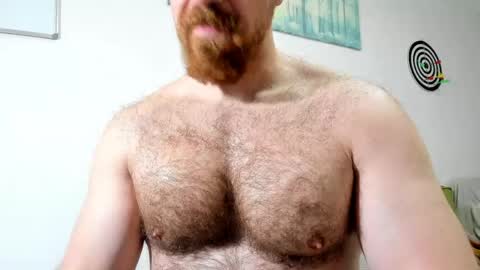 Snapshot of bigdudex chatting on May 7, 2026, 12:16 am bigdudex online show from May 7, 2026, 12:16 am