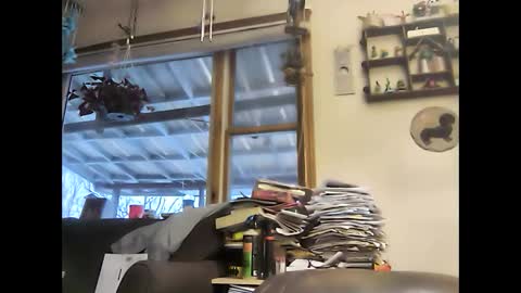 bigelectricrod online show from January 5, 2025, 12:31 pm