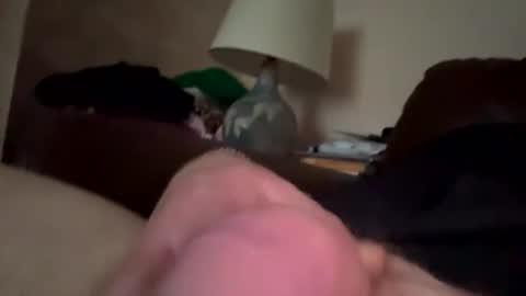 biggloves4bighands online show from December 21, 2025, 2:24 pm