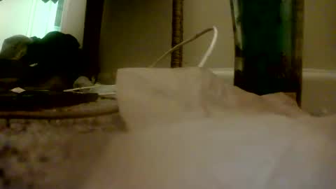 Peter Paul online show from November 16, 2025, 1:55 am