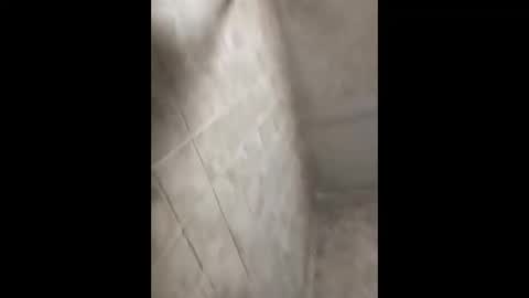 bignastyfilthy online show from September 30, 2025, 2:38 am