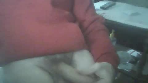 Snapshot of bigpenix chatting on June 6, 2026, 1:32 am bigpenix online show from June 6, 2026, 1:32 am