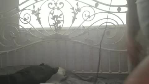 bigprdick101 online show from February 12, 2025, 2:54 pm