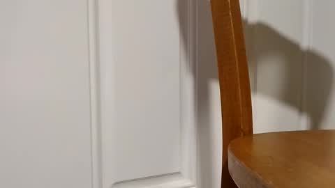 bigtopcircus online show from February 28, 2026, 2:56 am