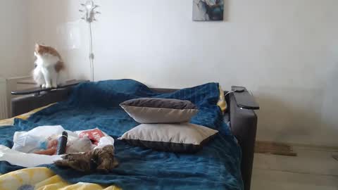 BigTwinsOmg online show from February 24, 2026, 7:39 am