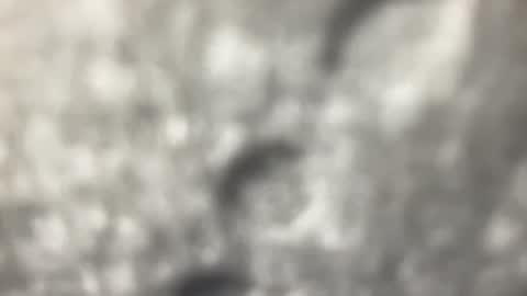 Snapshot of biguywithtoys chatting on December 22, 2024, 6:37 pm biguywithtoys online show from December 22, 2024, 6:37 pm