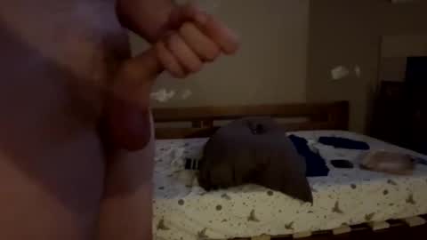 bigwheel999 online show from December 21, 2024, 9:23 am