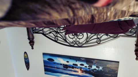 Starlyte online show from March 2, 2025, 8:40 pm