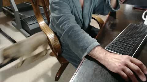 billy471 online show from February 23, 2025, 10:28 am