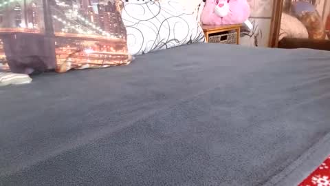 Bill online show from February 17, 2026, 12:56 pm