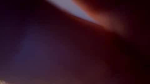 Snapshot of bird70 chatting on November 16, 2025, 6:30 am spunday online show from November 16, 2025, 6:30 am