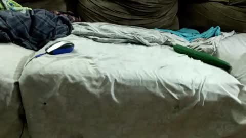 Snapshot of bismalldick679082 chatting on December 7, 2024, 11:18 am boyslave online show from December 7, 2024, 11:18 am