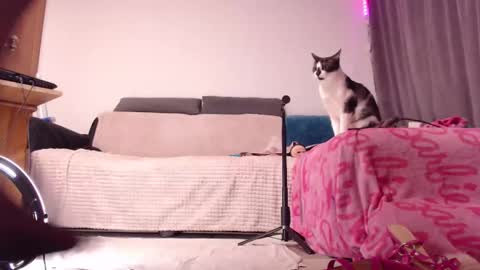 Snapshot of bitethetreat chatting on February 15, 2025, 2:04 am BitE ThE TreaT online show from February 15, 2025, 2:04 am