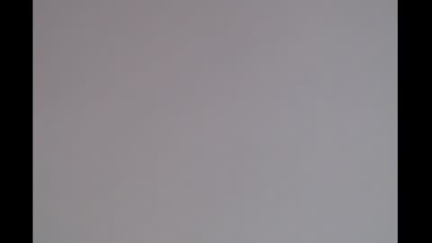 bivi  hot online show from January 11, 2025, 1:43 pm