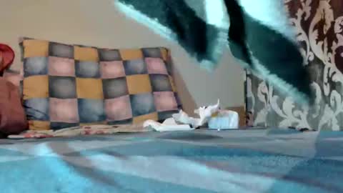 if you love pussy give 1 token - im a poor girl any token counts-my shop video pussy  virgina  hairy pussy 1 token online show from March 10, 2025, 9:07 pm