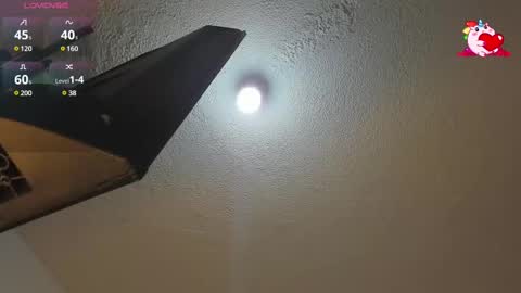 B L A C K  R O S E  online show from February 12, 2025, 11:51 am