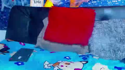 Snapshot of black_seus85 chatting on November 5, 2025, 5:13 pm duglas online show from November 5, 2025, 5:13 pm