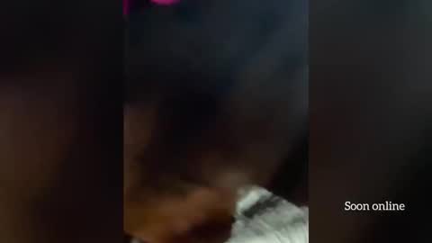 Lilly and Bryson online show from December 3, 2025, 3:58 am