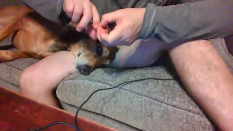 blaw_1321 online show from December 21, 2024, 12:53 am