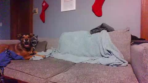 blaw_1321 online show from December 30, 2024, 8:36 pm
