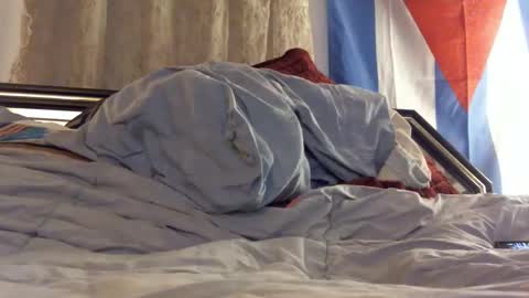 FreshCut online show from February 11, 2025, 4:01 am