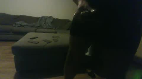 blongd2 online show from January 19, 2026, 12:36 am