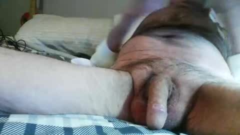 Snapshot of blower125 chatting on February 3, 2026, 4:54 am Blower125 online show from February 3, 2026, 4:54 am