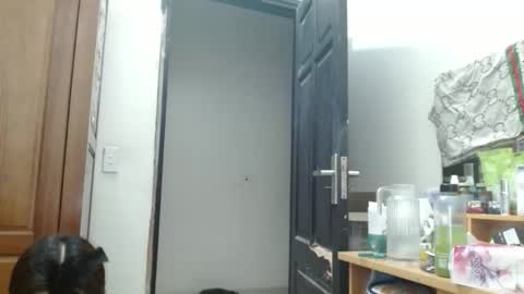 Snapshot of blowy079 chatting on March 24, 2026, 2:05 am blowy079 online show from March 24, 2026, 2:05 am