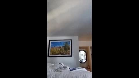 blue17562 online show from April 12, 2026, 3:06 pm