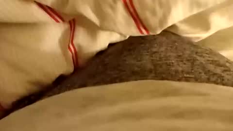 Snapshot of bluedolphinxx chatting on March 15, 2026, 4:07 am bluedolphinxx online show from March 15, 2026, 4:07 am