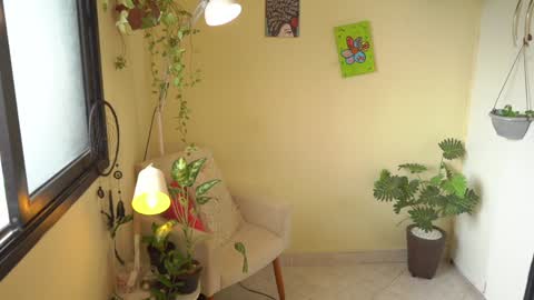 FLORAA online show from January 26, 2025, 12:33 pm