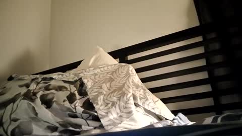 Snapshot of blueskyi0 chatting on December 29, 2024, 11:40 am blueskyi0 online show from December 29, 2024, 11:40 am