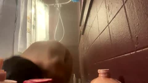 LovelyJolene online show from November 1, 2025, 9:44 am