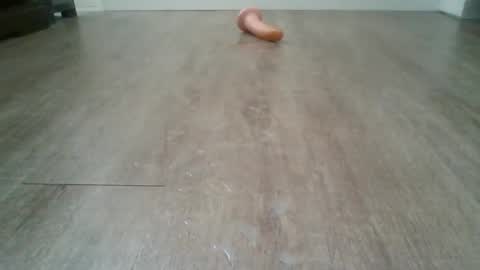 Snapshot of bocul1969 chatting on February 3, 2026, 2:55 pm bocul1969 online show from February 3, 2026, 2:55 pm