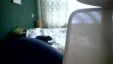 Snapshot of bomba8111 chatting on January 20, 2025, 11:45 am bomba8111 online show from January 20, 2025, 11:45 am