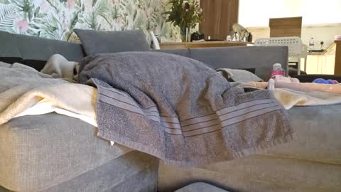 DeeDeeAndDexter online show from March 1, 2025, 12:07 am