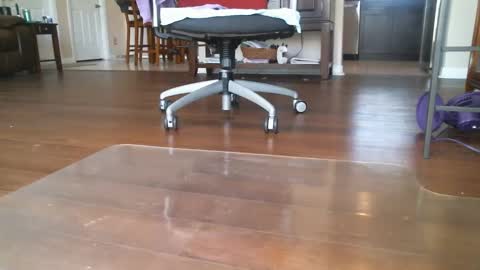 FRECKLES online show from March 6, 2025, 6:26 pm