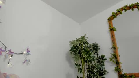   online show from October 12, 2025, 11:48 pm