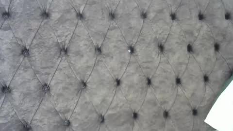 boobvherry online show from January 18, 2026, 5:22 am