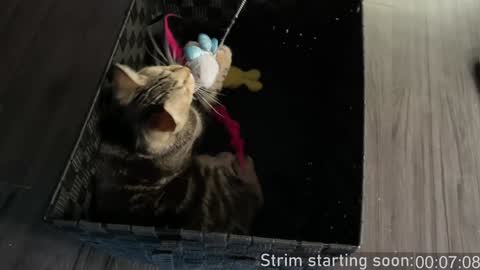 Booker Baxton online show from January 3, 2025, 4:00 am