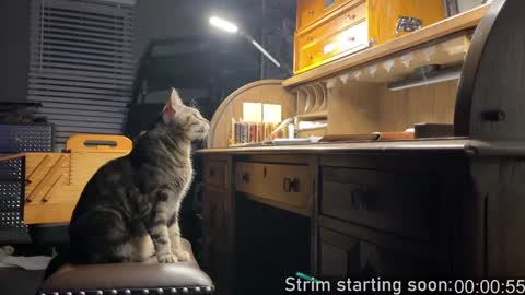 Booker Baxton online show from January 9, 2025, 4:08 am