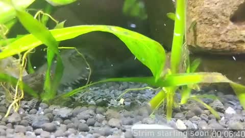 Booker Baxton online show from January 14, 2025, 4:04 am