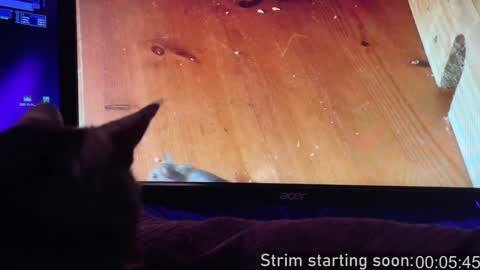 Booker Baxton online show from February 2, 2025, 4:05 am