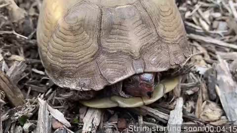 Booker Baxton online show from March 9, 2025, 4:05 am